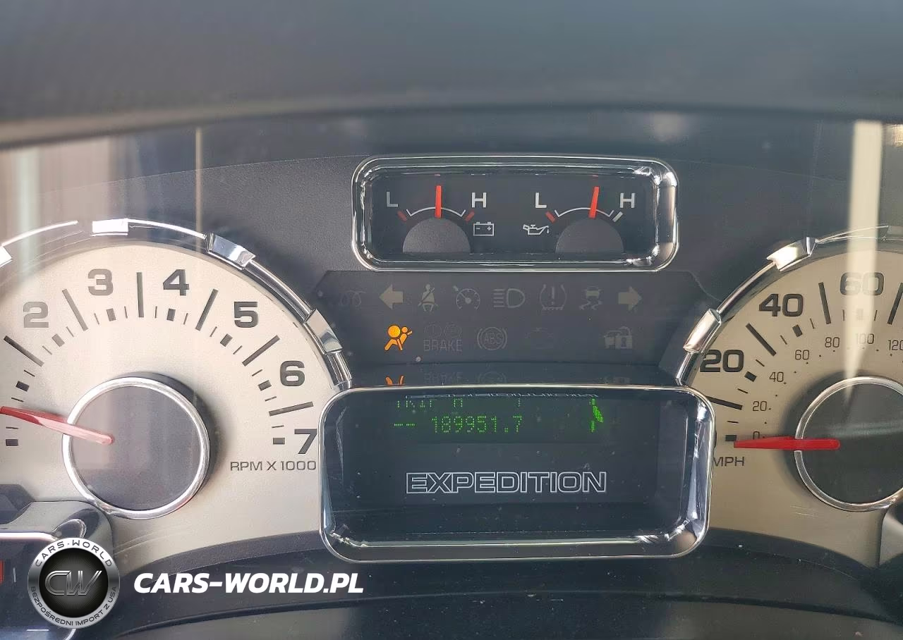 2010 Ford Expedition Eddie Bauer VIN:1FMJU1J51AEB60252 - 9