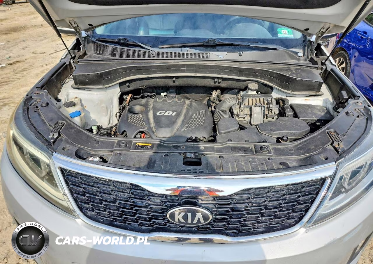 2014 Kia Sorento Lx VIN:5XYKTDA6XEG500890 - 12