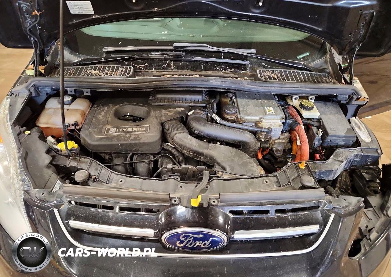 2013 Ford C-Max Sel VIN:1FADP5BU8DL503263 - 12