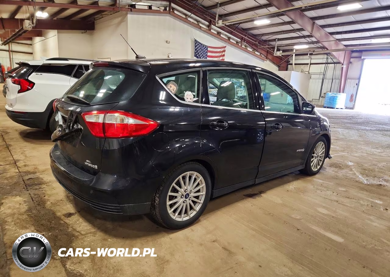 2013 Ford C-Max Sel VIN:1FADP5BU8DL503263 - 3
