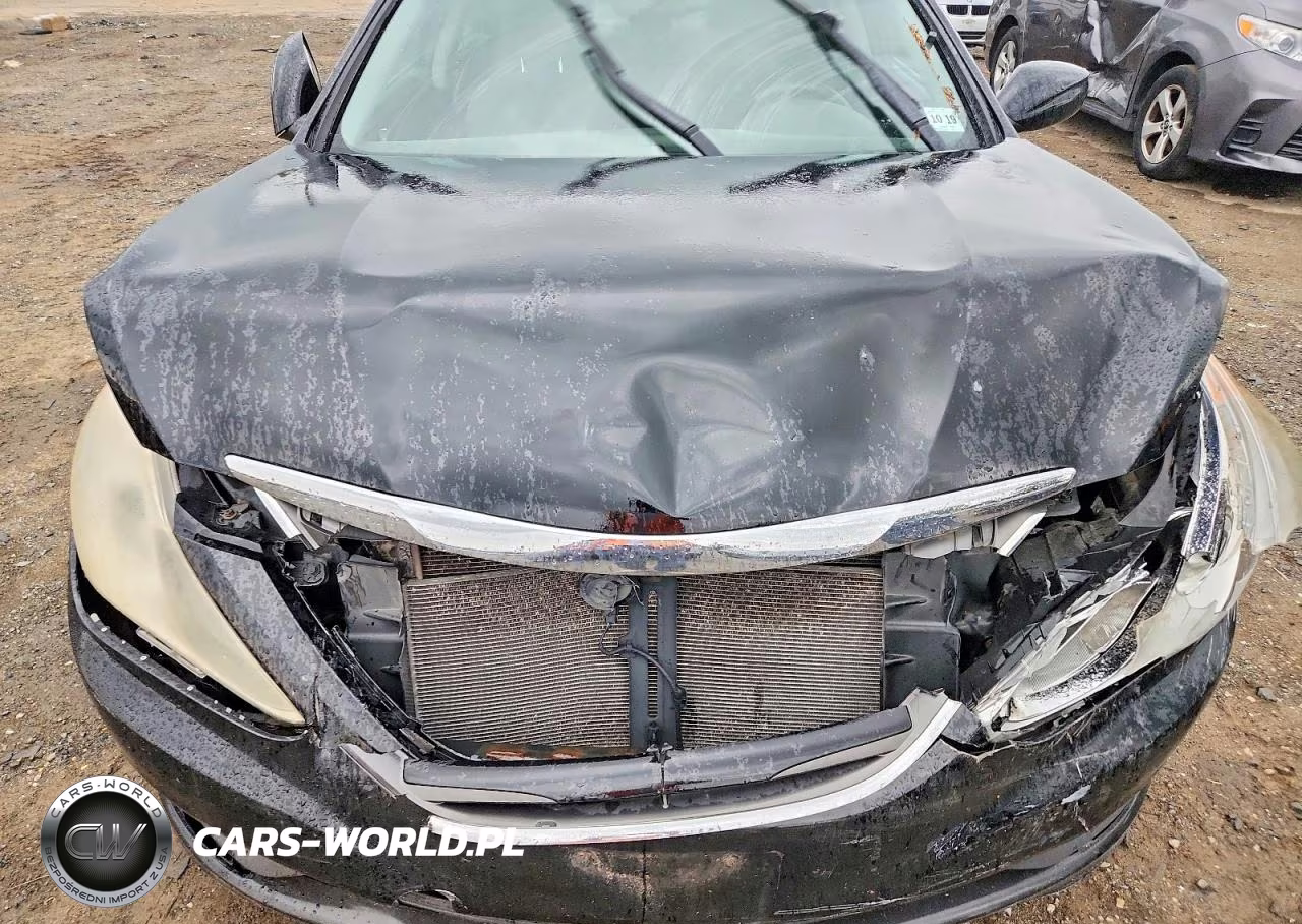 2014 Hyundai Sonata Gls VIN:5NPEB4ACXEH913858 - 11