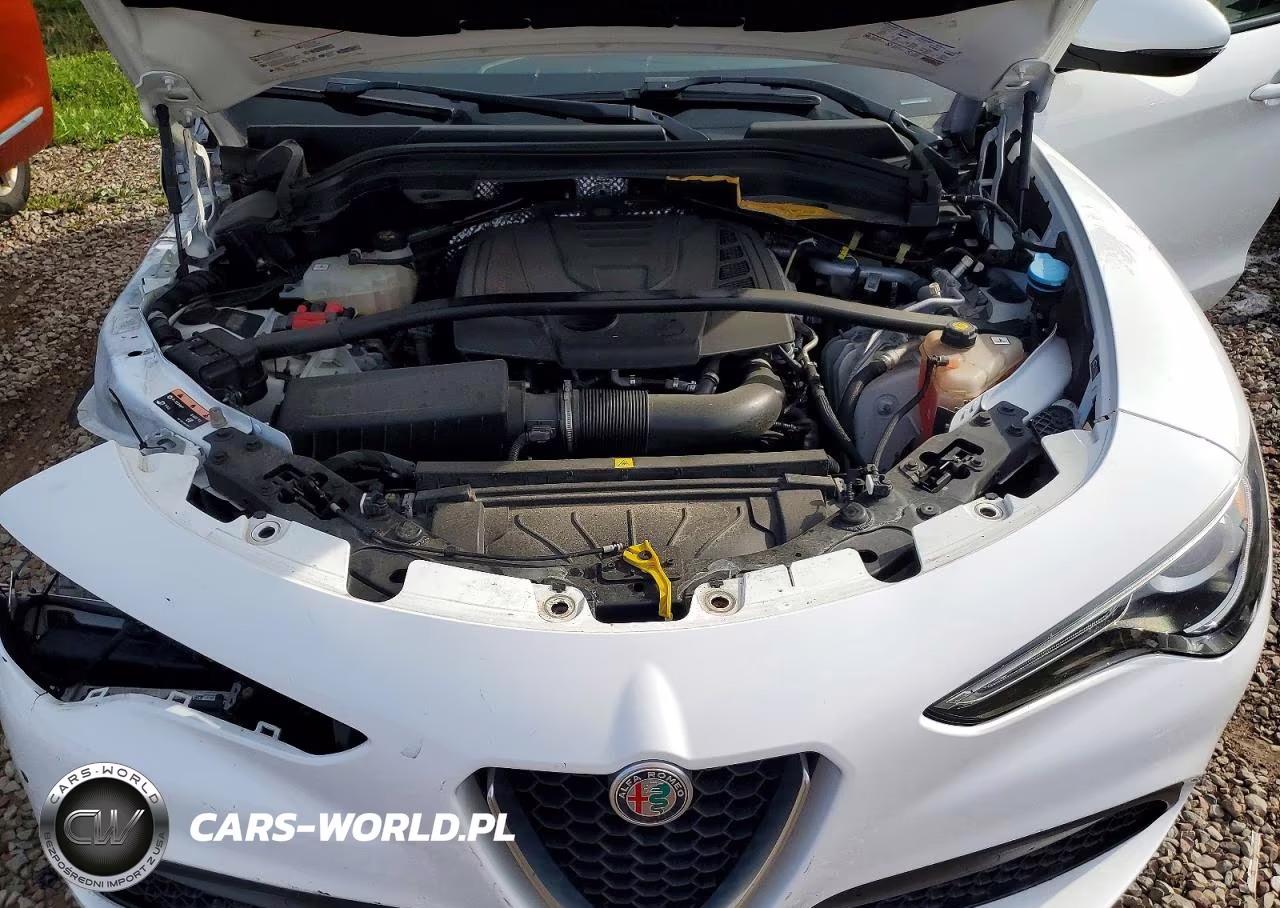 2019 Alfa Romeo Stelvio Ti VIN:ZASPAKBN7K7C29566 - 12
