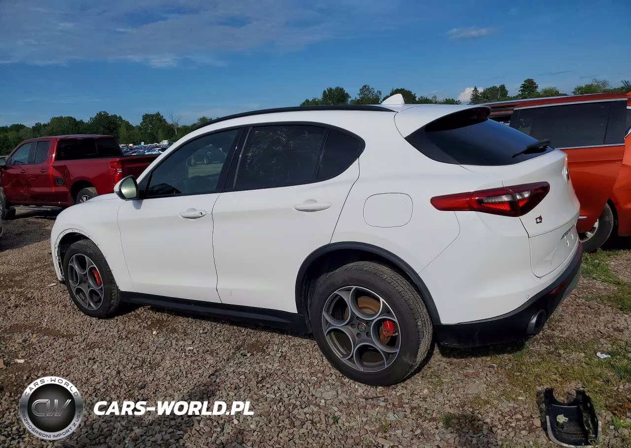 2019 Alfa Romeo Stelvio Ti VIN:ZASPAKBN7K7C29566 - 2
