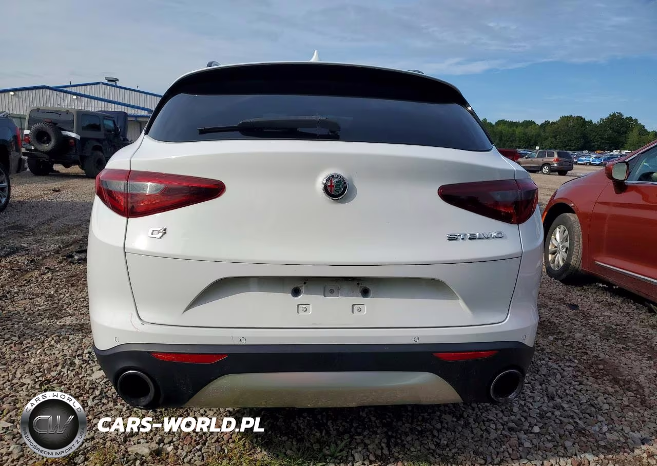 2019 Alfa Romeo Stelvio Ti VIN:ZASPAKBN7K7C29566 - 6