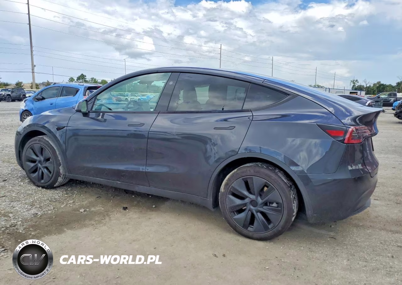 2024 Tesla Model Y VIN:7SAYGDED2RF185140 - 2