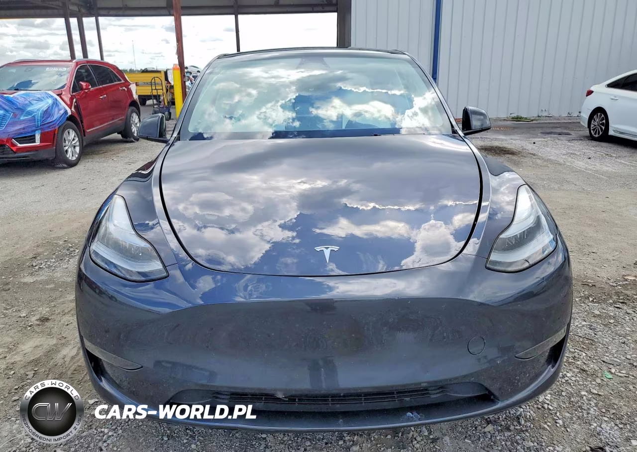 2024 Tesla Model Y VIN:7SAYGDED2RF185140 - 5