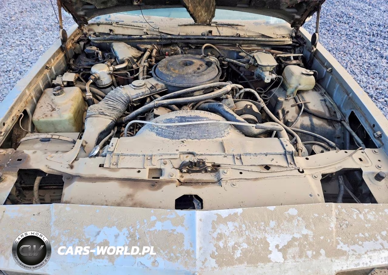 1986 Chevrolet Monte Carlo VIN:1G1GZ37G4GR159885 - 11