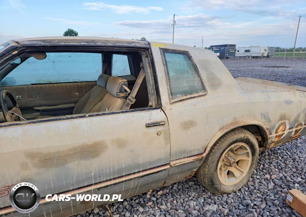 1986 Chevrolet Monte Carlo VIN:1G1GZ37G4GR159885 - 12