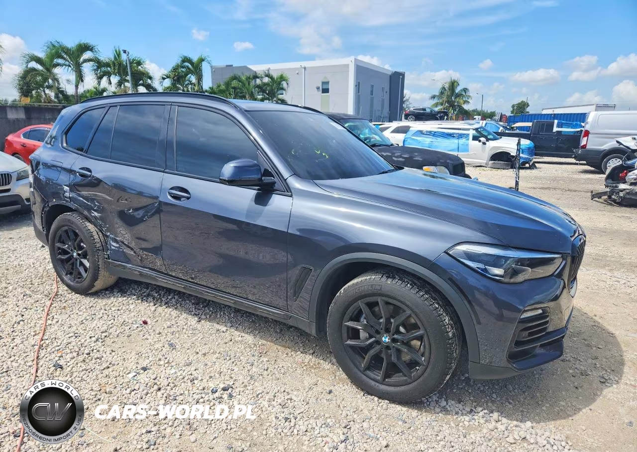 2020 BMW X5 Sdrive 40I VIN:5UXCR4C02L9B81867 - 4