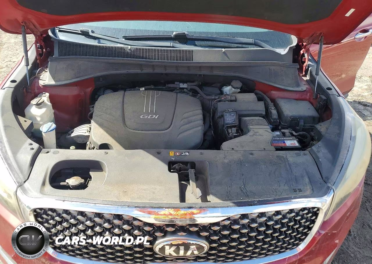 2016 Kia Sorento Ex VIN:5XYPH4A56GG041830 - 12