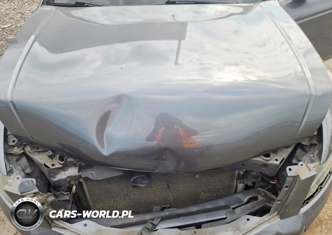2010 Honda Accord Exl VIN:1HGCP2F86AA005461 - 11