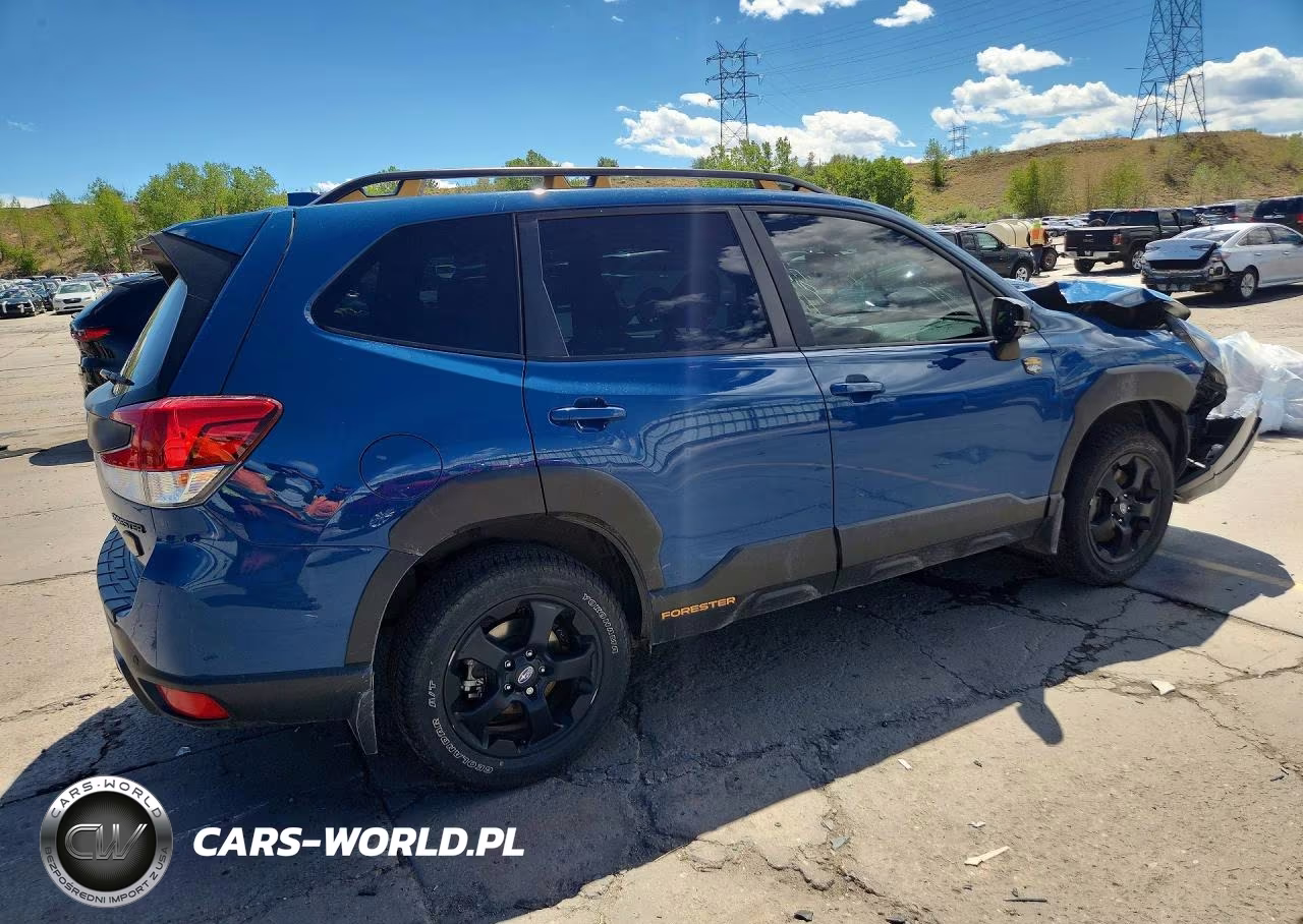 2022 Subaru Forester Wilderness VIN:JF2SKAMC9NH437518 - 3