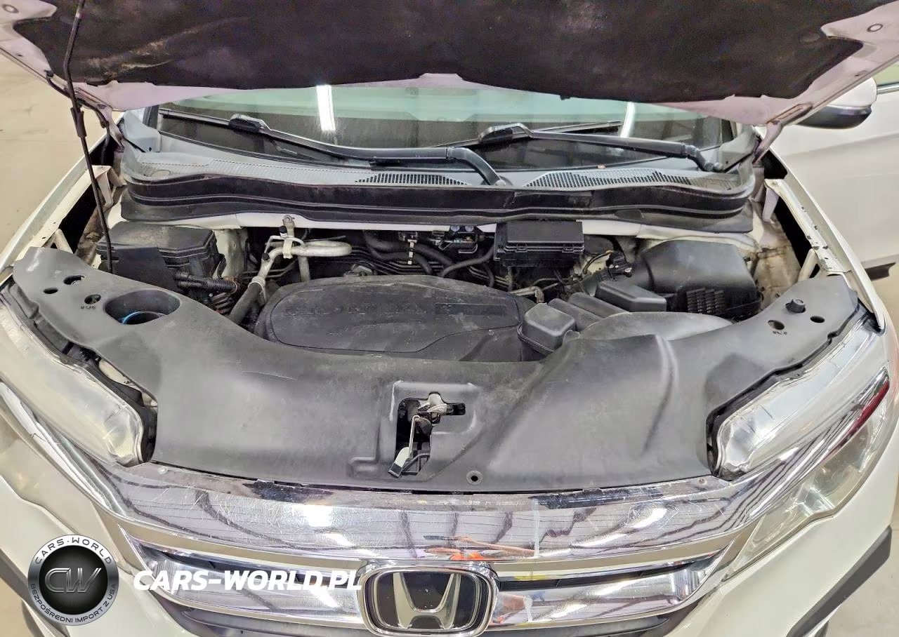 2019 Honda Pilot Exl VIN:5FNYF6H59KB046175 - 12