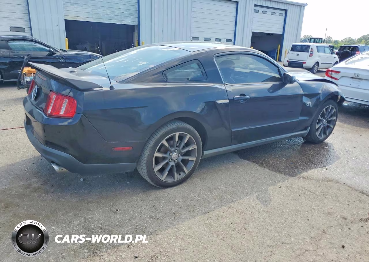 2010 Ford Mustang Gt VIN:1ZVBP8CH1A5121268 - 3