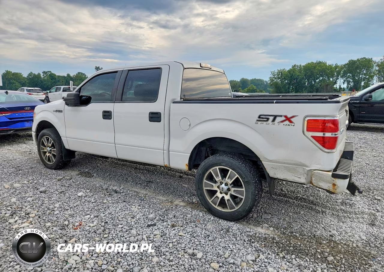 2014 Ford F150 Supercrew VIN:1FTFW1EF5EFB68135 - 2