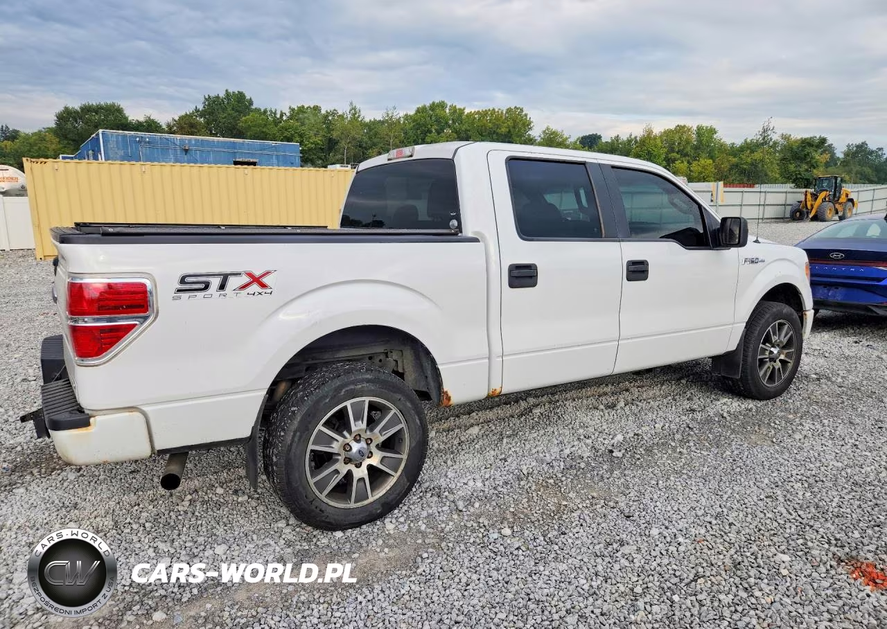 2014 Ford F150 Supercrew VIN:1FTFW1EF5EFB68135 - 3