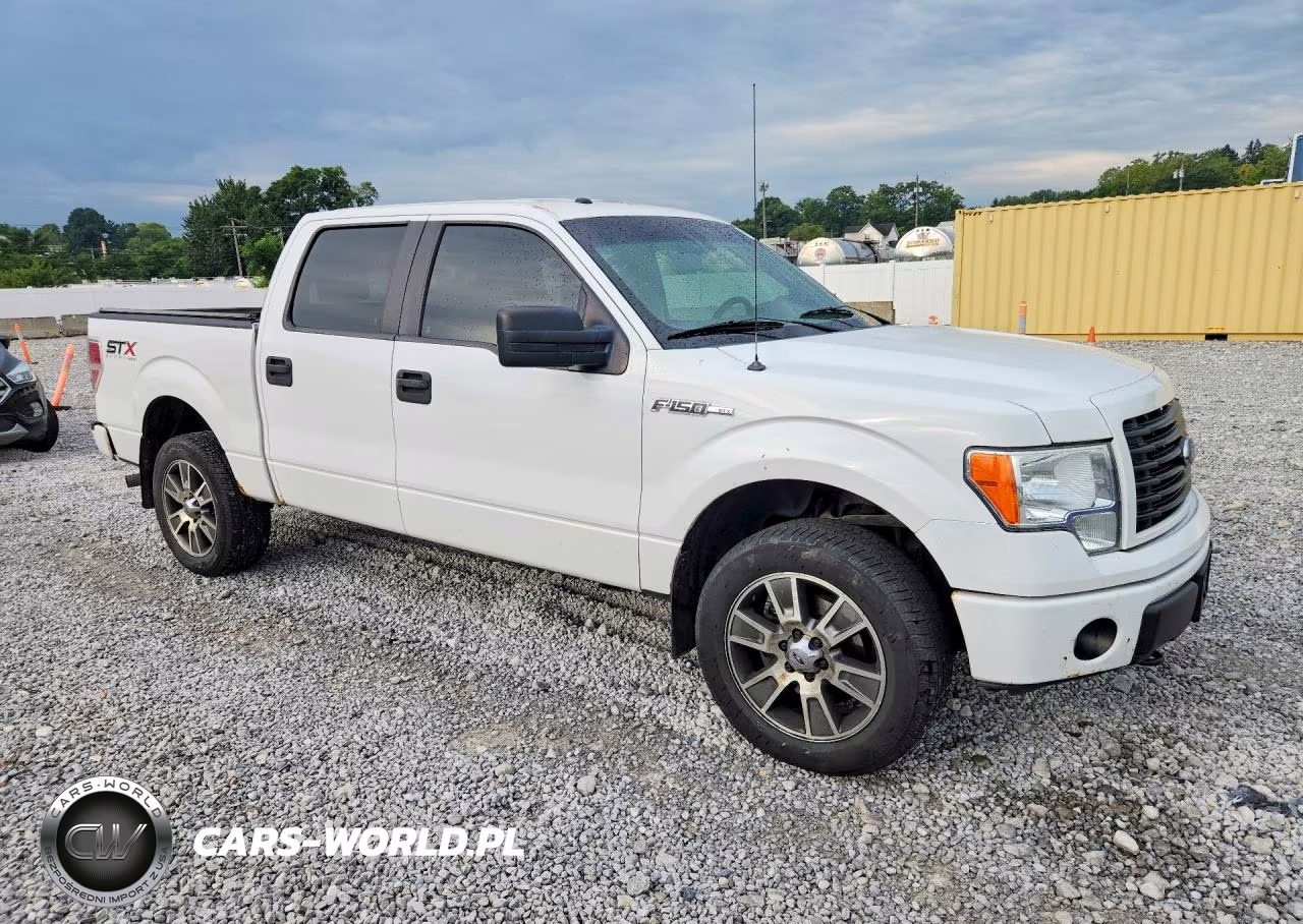 2014 Ford F150 Supercrew VIN:1FTFW1EF5EFB68135 - 4