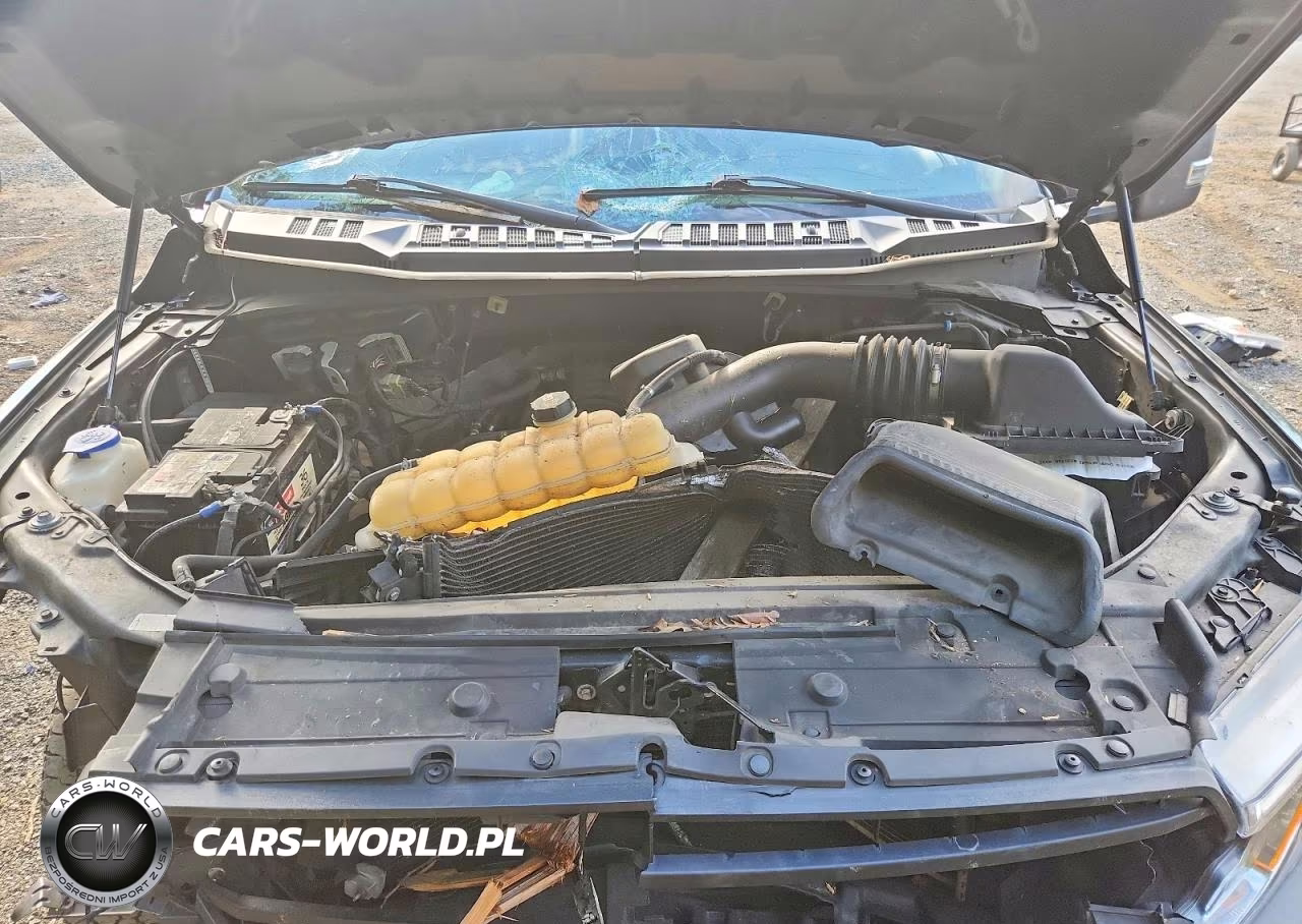2019 Ford F150 VIN:1FTNF1E50KKC66009 - 11