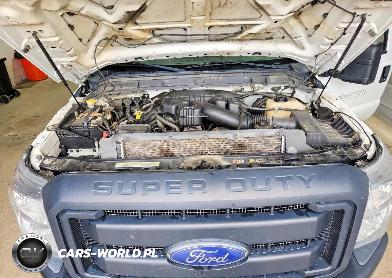 2015 Ford F250 Super Duty Box Truck VIN:1FDBF2B65FED21561 - 11