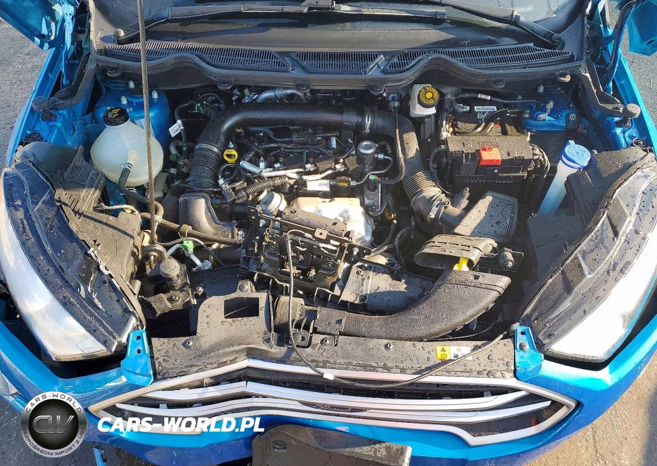 2018 Ford Ecosport Se VIN:MAJ3P1TE2JC224737 - 12