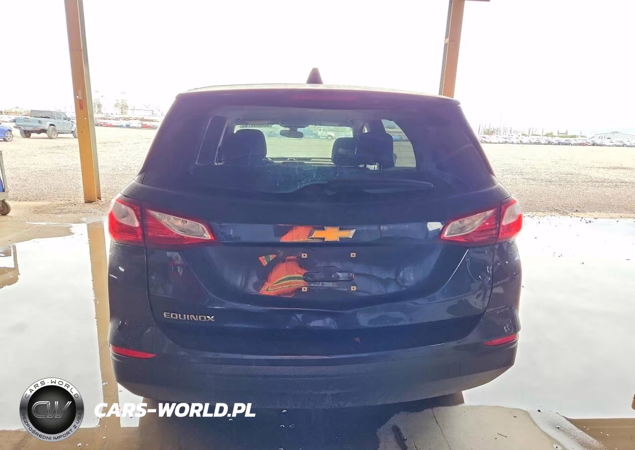 2019 Chevrolet Equinox Ls VIN:3GNAXHEV7KS513946 - 6