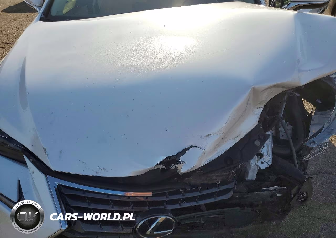 2018 Lexus Nx 300H VIN:JTJBJRBZ2J2091703 - 12