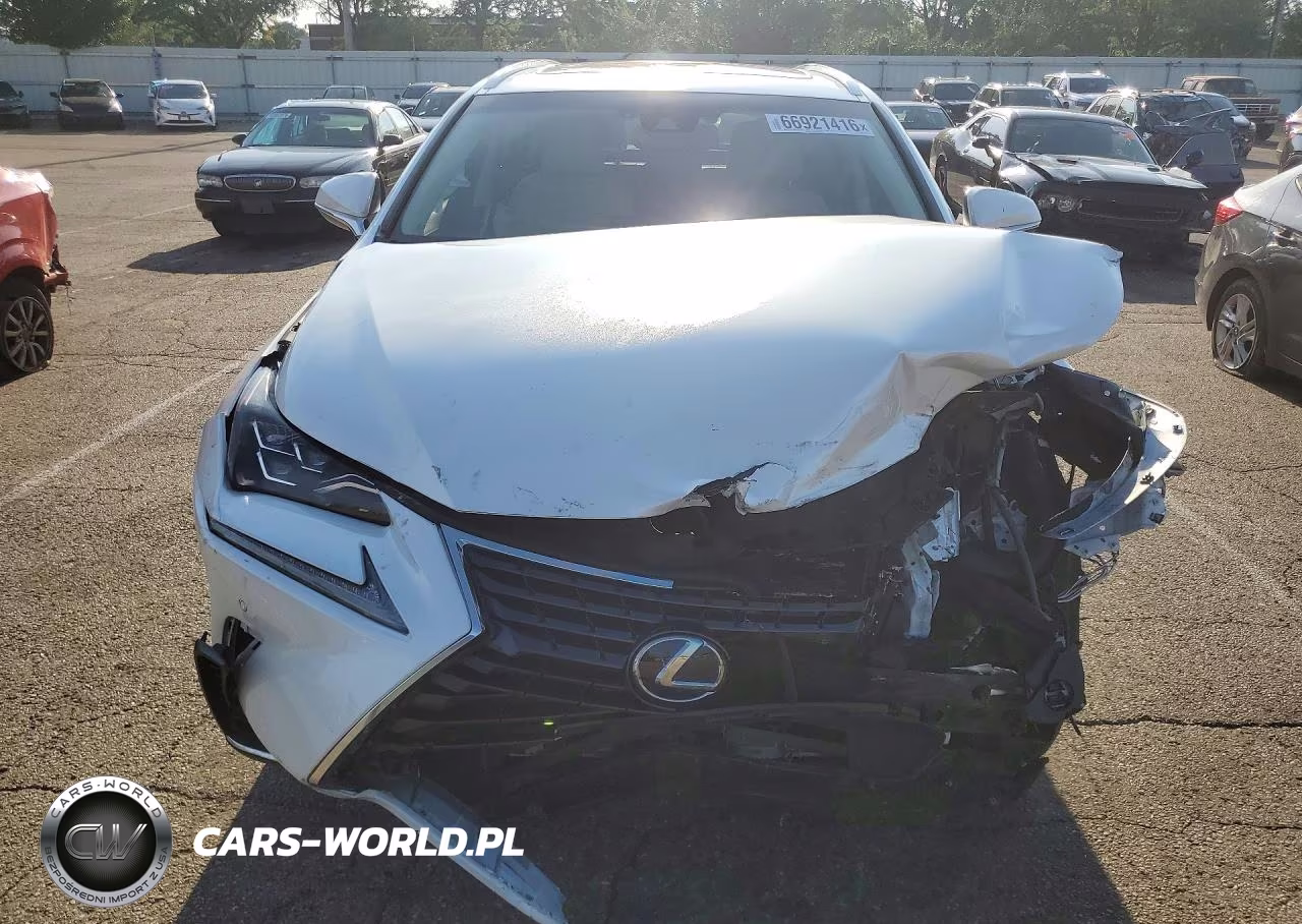 2018 Lexus Nx 300H VIN:JTJBJRBZ2J2091703 - 5