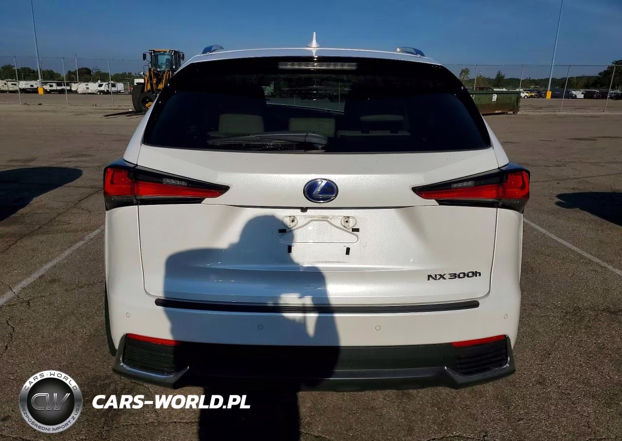 2018 Lexus Nx 300H VIN:JTJBJRBZ2J2091703 - 6