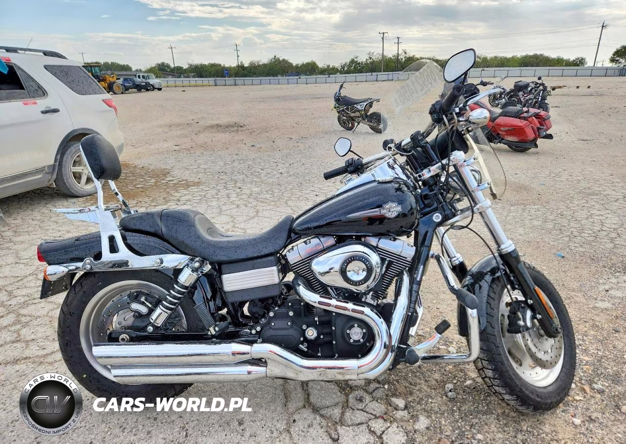 2009 Harley-Davidson Fxdf