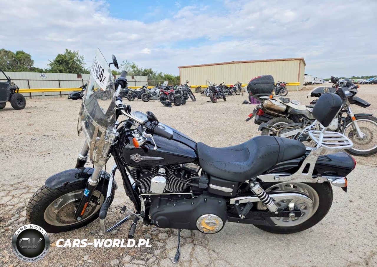 2009 Harley-Davidson Fxdf VIN:1HD1GY4159K320187 - 3
