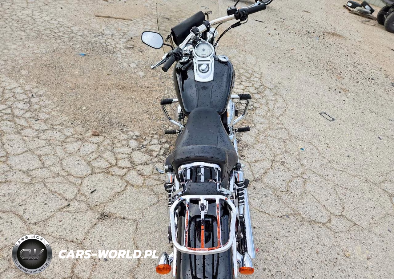 2009 Harley-Davidson Fxdf VIN:1HD1GY4159K320187 - 6