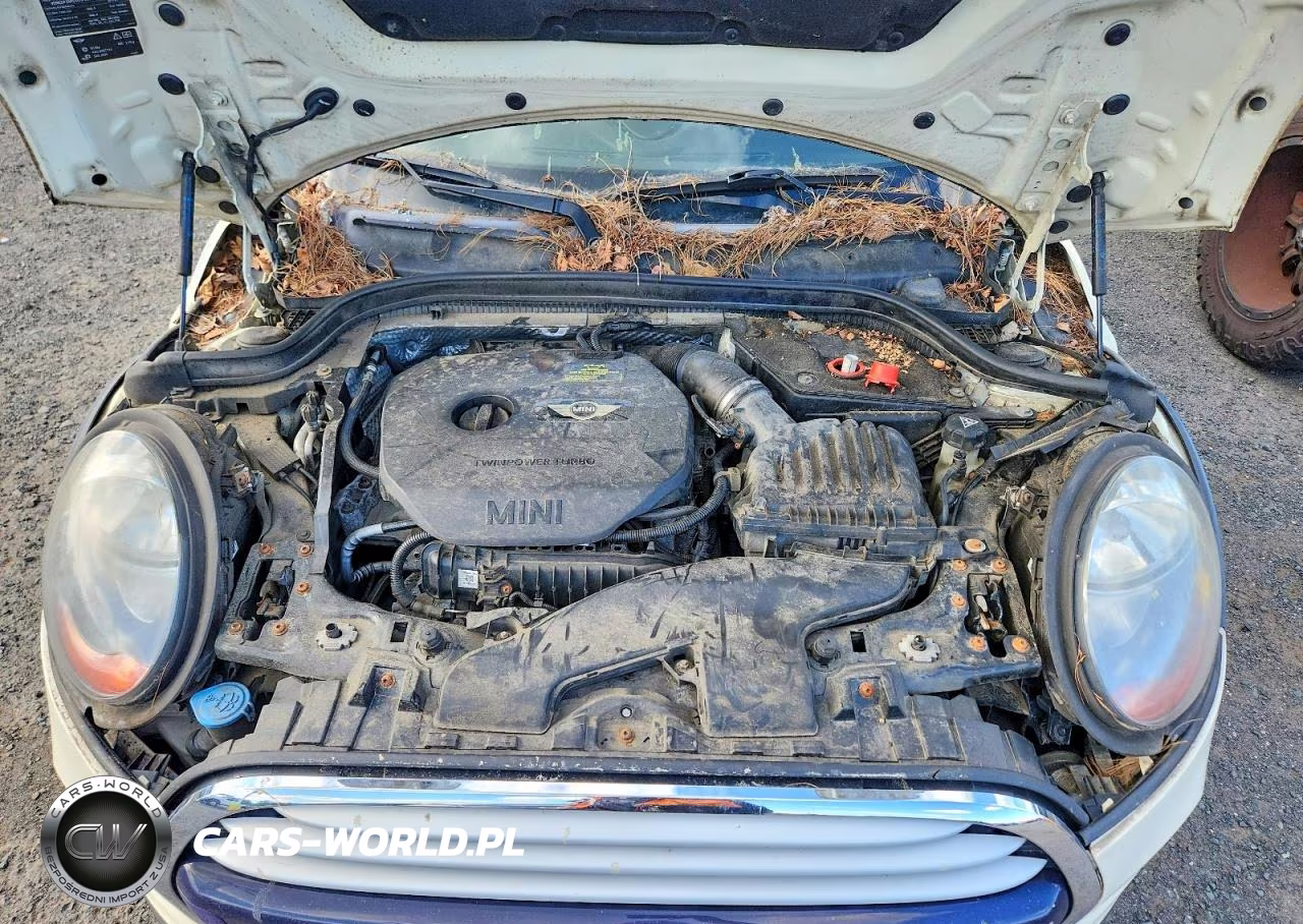 2015 Mini Cooper VIN:WMWXM5C55FT973788 - 11