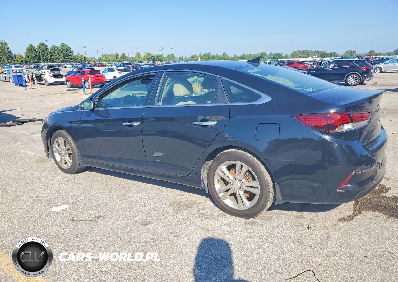 2019 Hyundai Sonata Sel VIN:5NPE34AF7KH781886 - 2