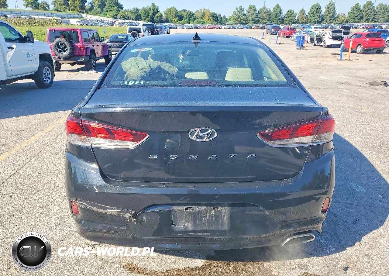 2019 Hyundai Sonata Sel VIN:5NPE34AF7KH781886 - 6