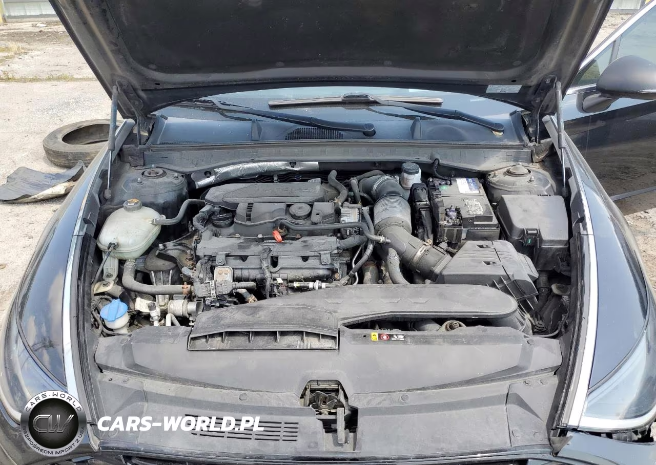 2020 Hyundai Sonata Limited VIN:5NPEH4J21LH006449 - 11