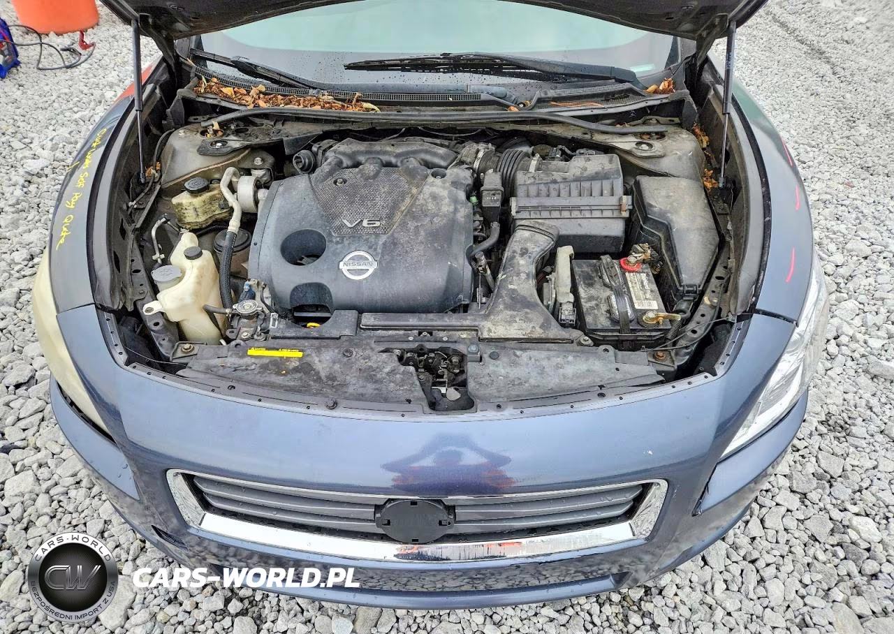2013 Nissan Maxima 3.5 S VIN:1N4AA5AP2DC815319 - 11