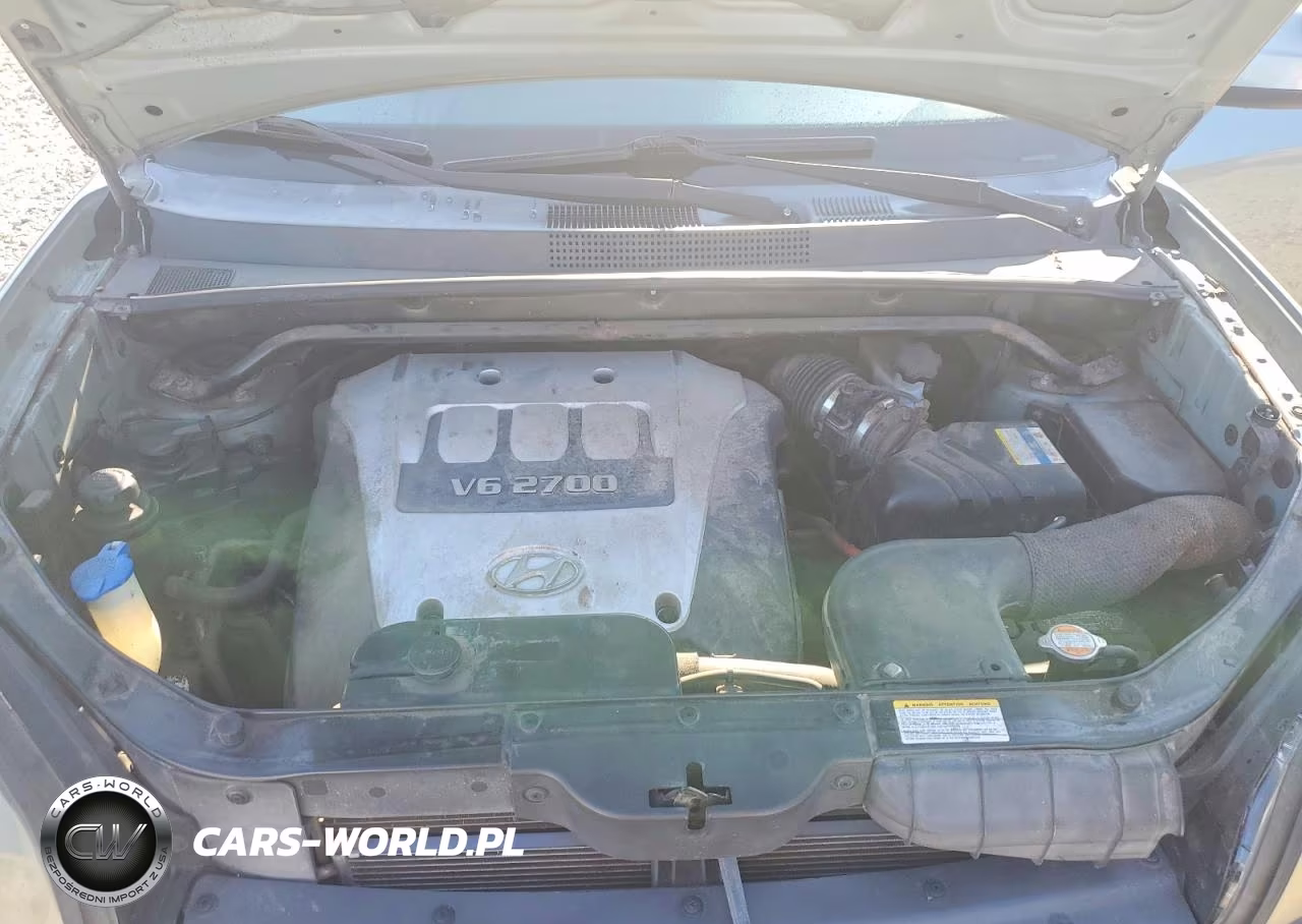 2006 Hyundai Tucson Gls VIN:KM8JN12D96U463330 - 12
