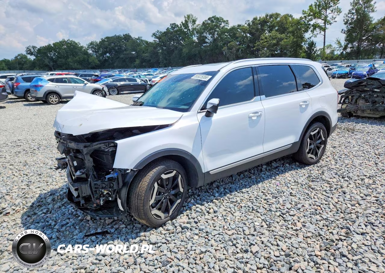2025 Kia Telluride S VIN:5XYP64GC2SG623184 - 1