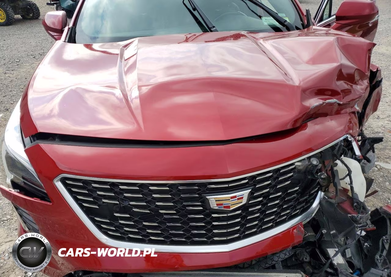 2019 Cadillac Xt4 Premium Luxury VIN:1GYFZDR4XKF132979 - 12
