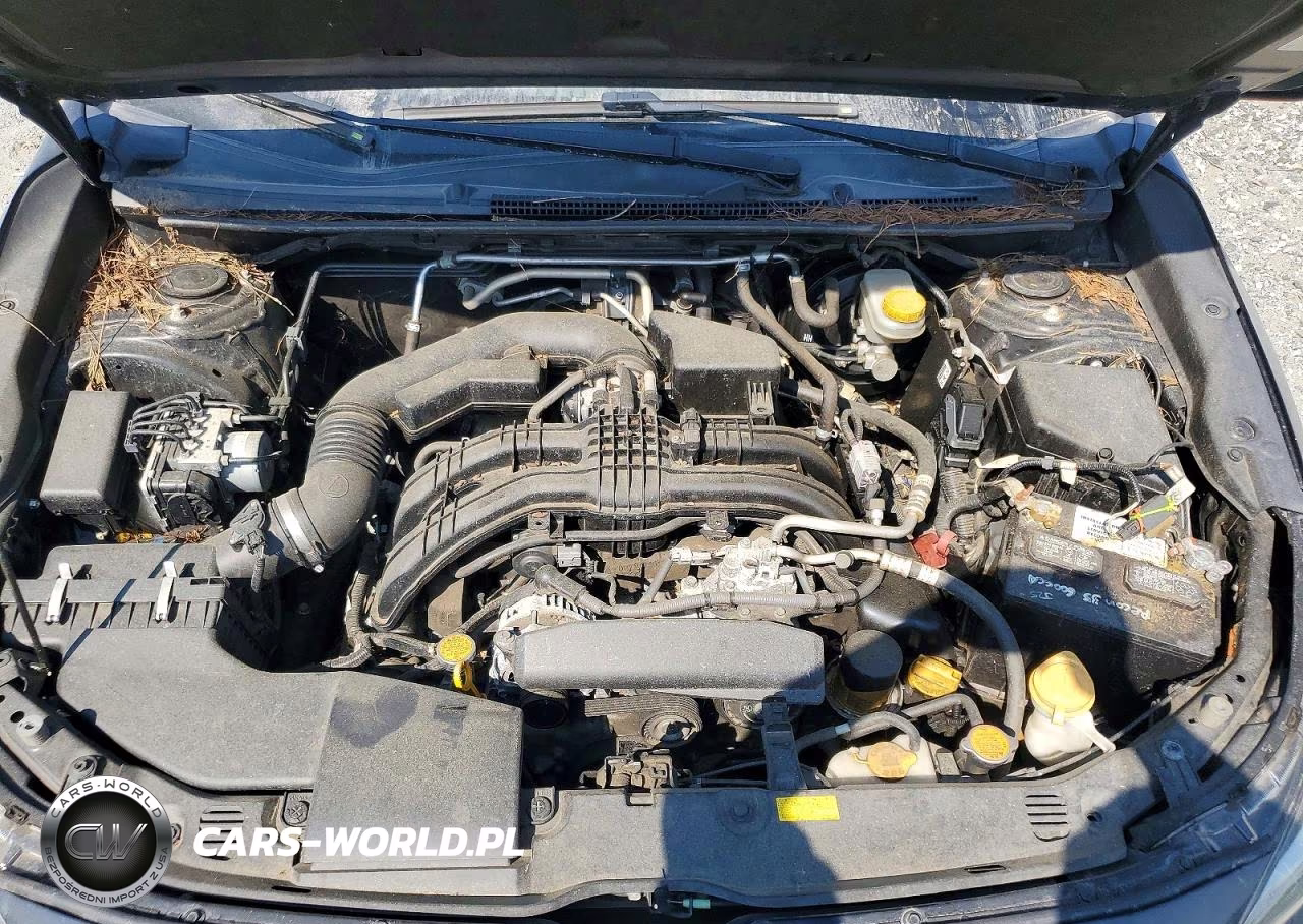 2018 Subaru Crosstrek Limited VIN:JF2GTAMCXJ8252309 - 11