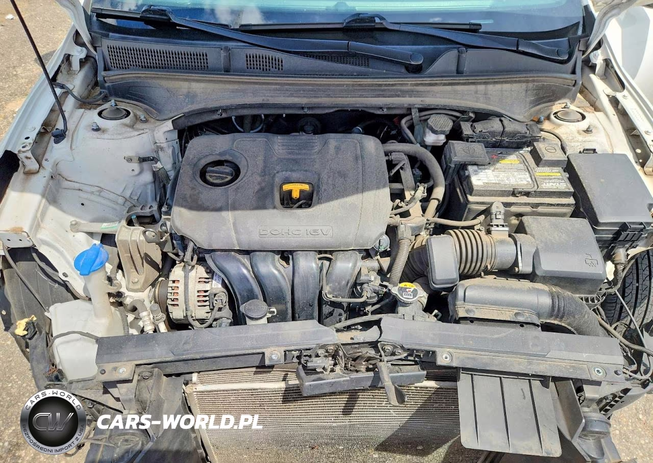2021 Kia Forte Fe VIN:3KPF24AD1ME339716 - 11