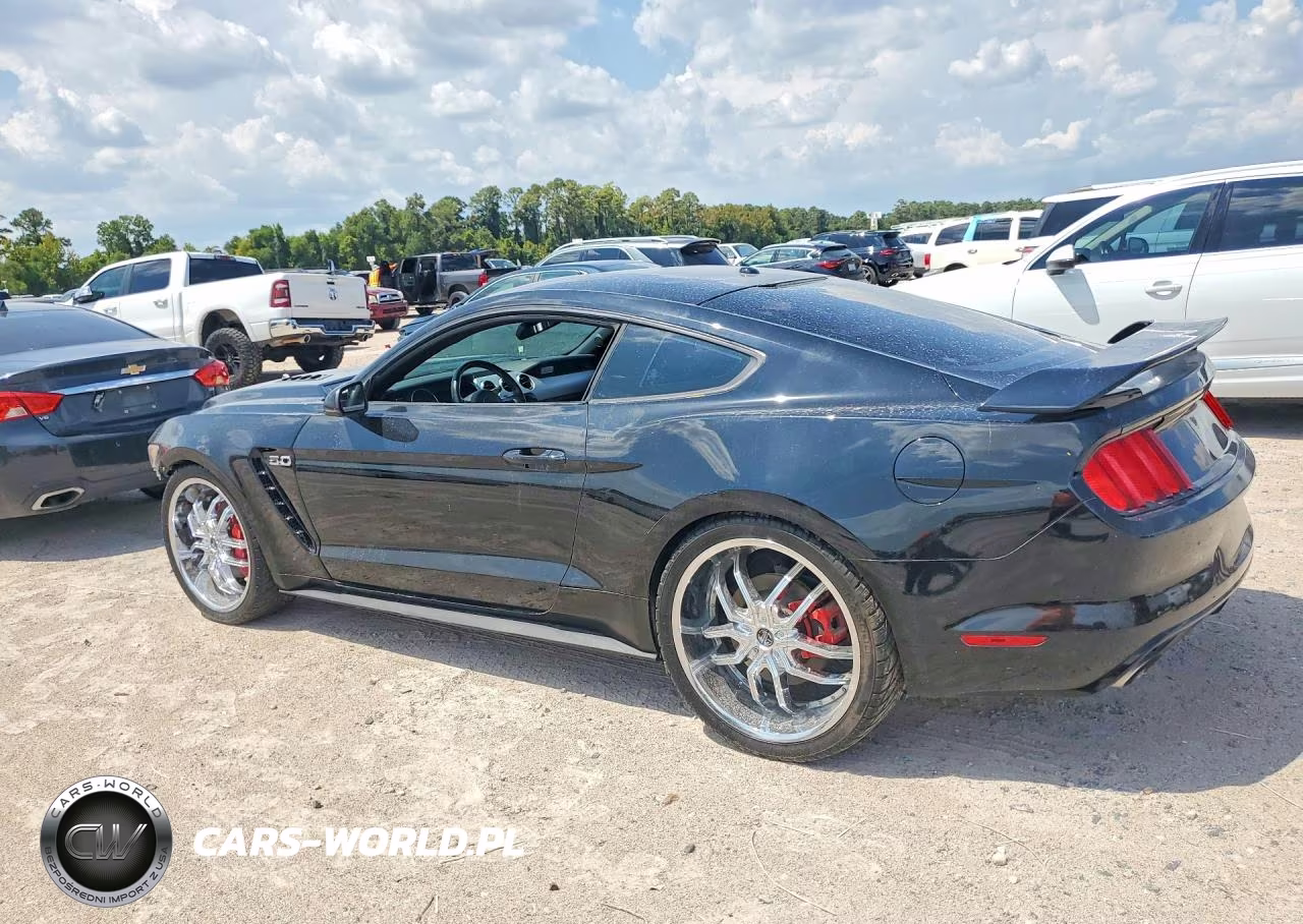 2015 Ford Mustang Gt VIN:1FA6P8CF4F5399873 - 2