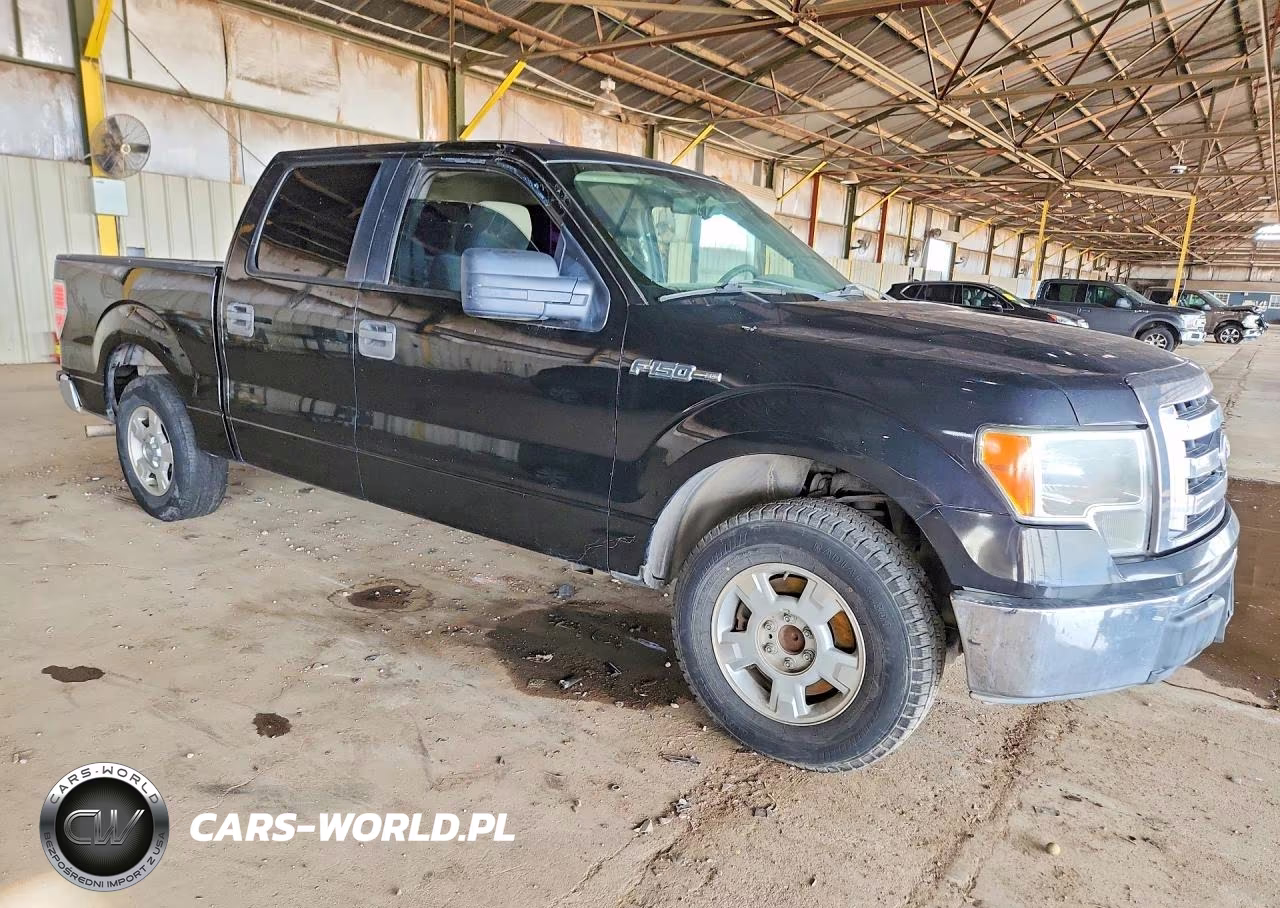2010 Ford F150 Supercrew VIN:1FTEW1C80AFC92467 - 4