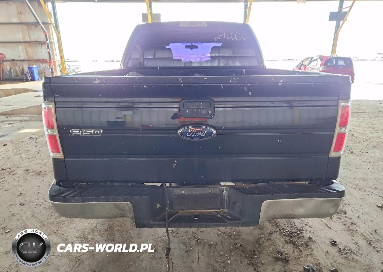 2010 Ford F150 Supercrew VIN:1FTEW1C80AFC92467 - 6