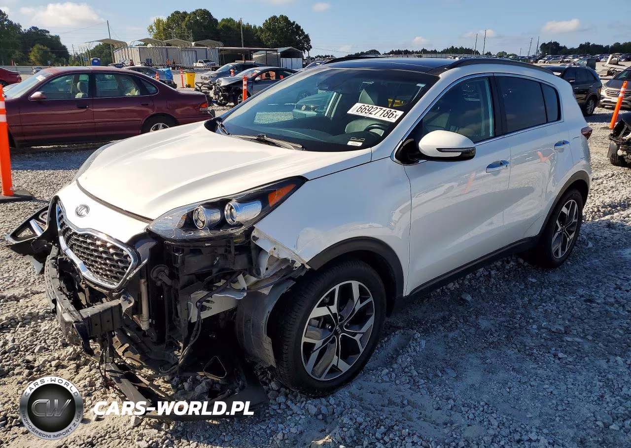 2022 Kia Sportage Ex VIN:KNDPN3AC1N7950845 - 1