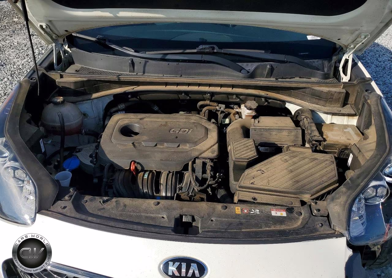 2022 Kia Sportage Ex VIN:KNDPN3AC1N7950845 - 12