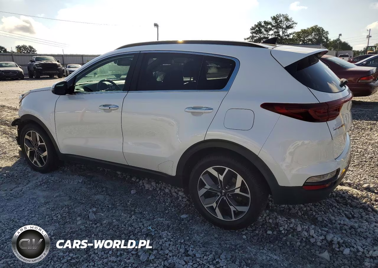 2022 Kia Sportage Ex VIN:KNDPN3AC1N7950845 - 2