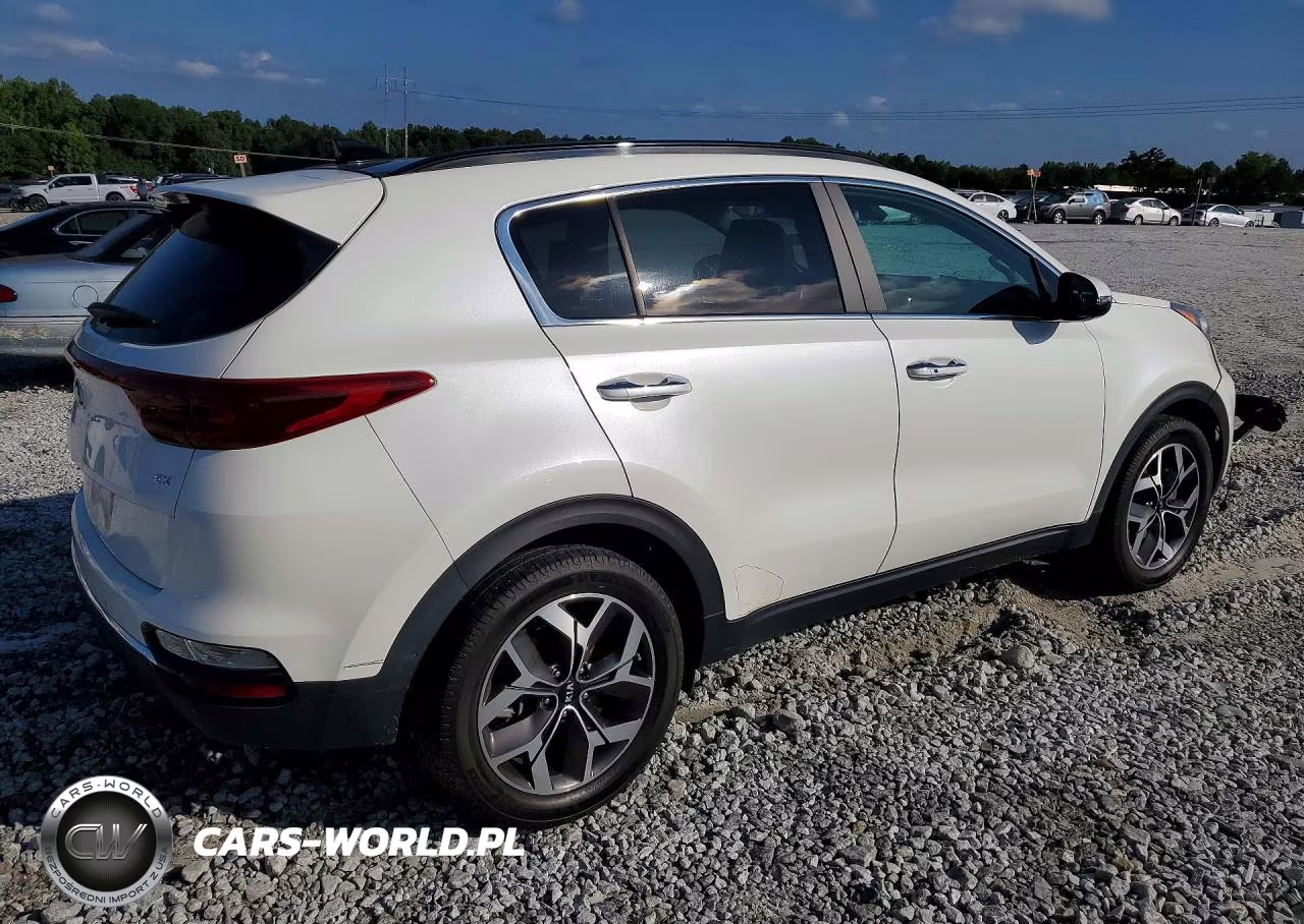 2022 Kia Sportage Ex VIN:KNDPN3AC1N7950845 - 3