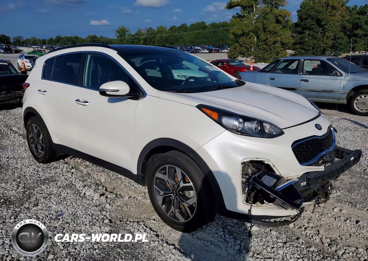 2022 Kia Sportage Ex VIN:KNDPN3AC1N7950845 - 4