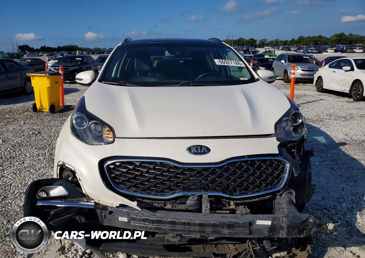 2022 Kia Sportage Ex VIN:KNDPN3AC1N7950845 - 5